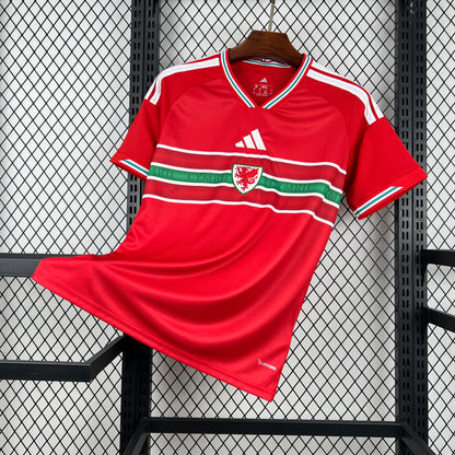 Wales 2026 World Cup Home Jersey Mens