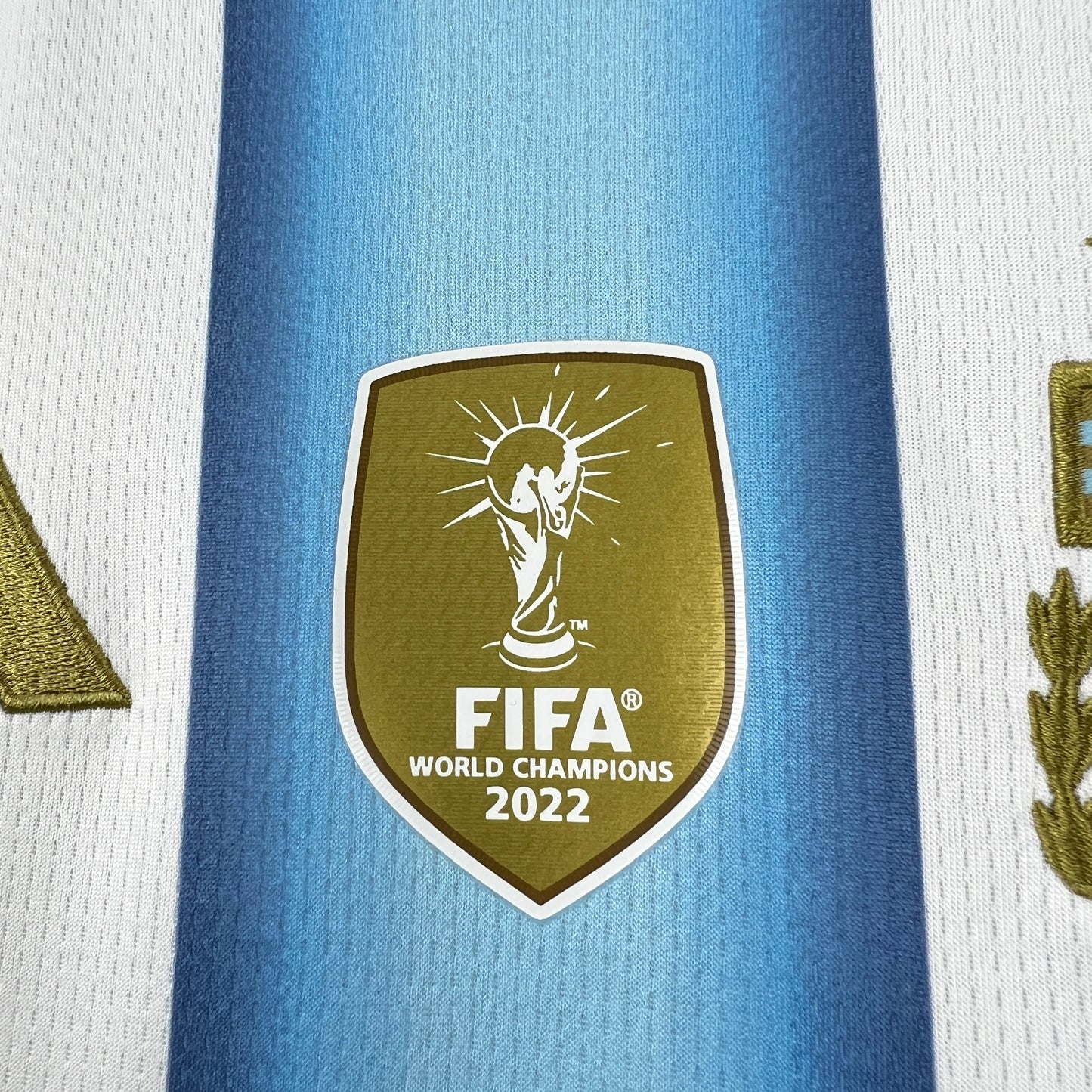 Argentina 2026 World Cup Home Jersey Womens