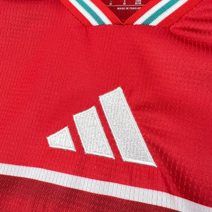 Wales 2026 World Cup Home Jersey Mens