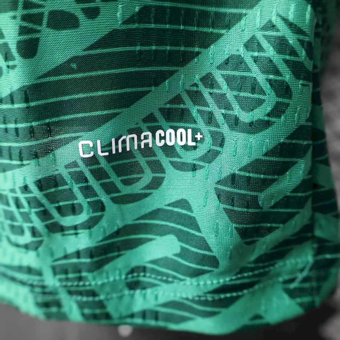 Mexico 2026 World Cup Home Jersey Player Version Mens