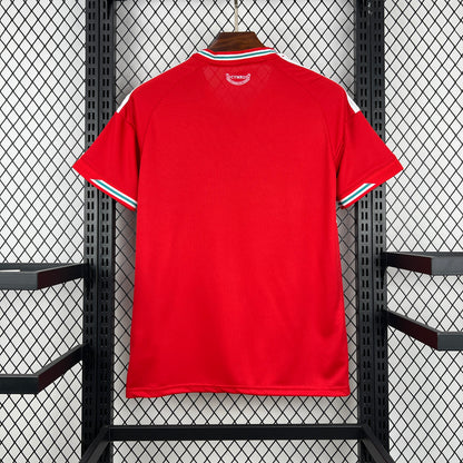 Wales 2026 World Cup Home Jersey Mens