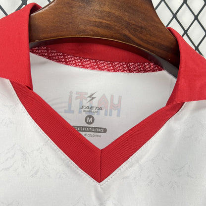 Haiti 2026 World Cup Away Jersey Mens