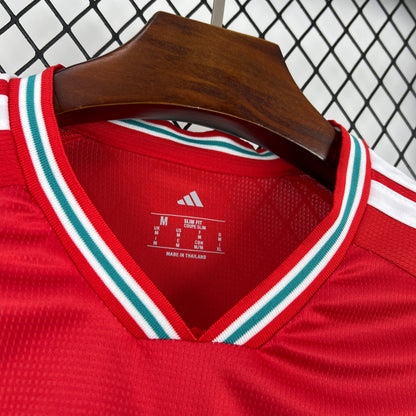 Wales 2026 World Cup Home Jersey Mens