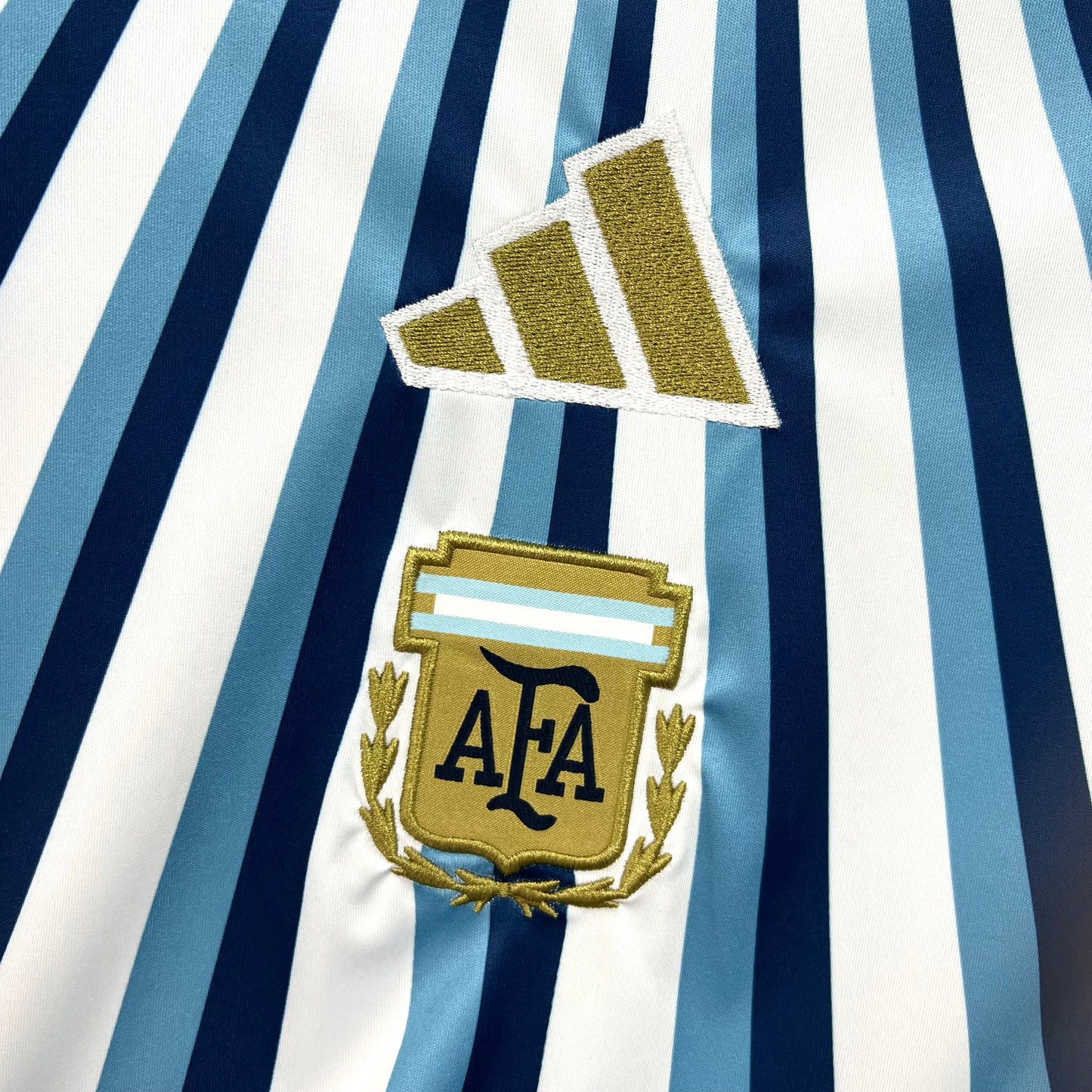 Argentina 2026 World Cup Special Jersey Mens