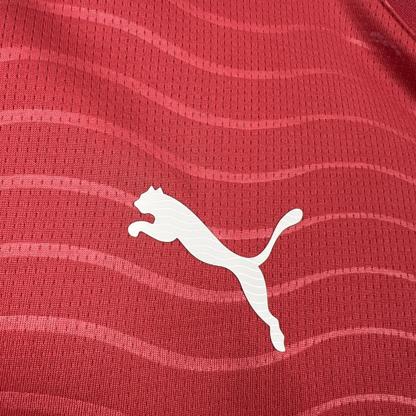 Portugal 2026 World Cup Home Long sleeves Jeresy Mens