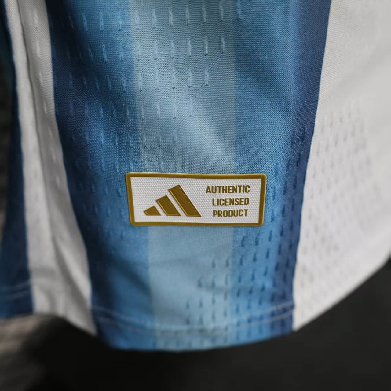 Argentina 2026 World Cup Home Long Sleeve Jersey Player Version Mens