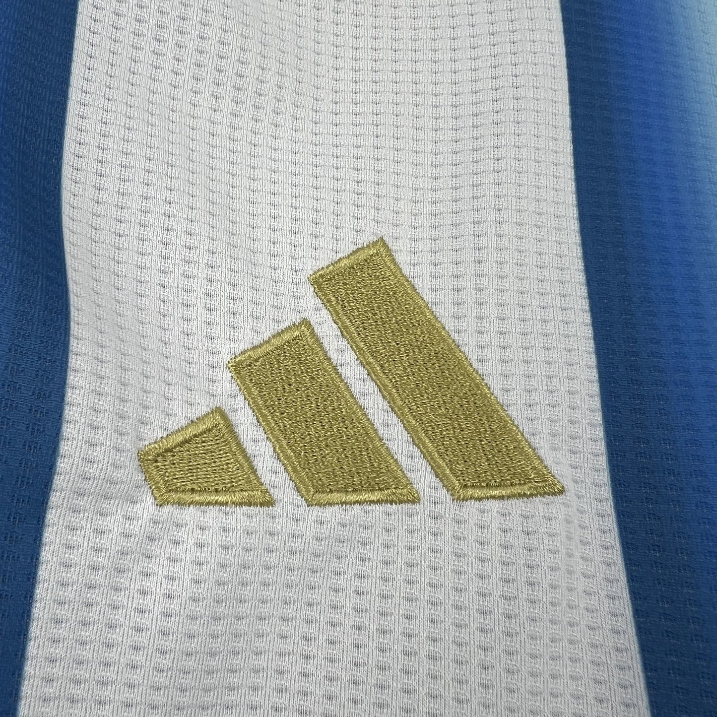 Argentina 2025/26 Home Jersey Mens
