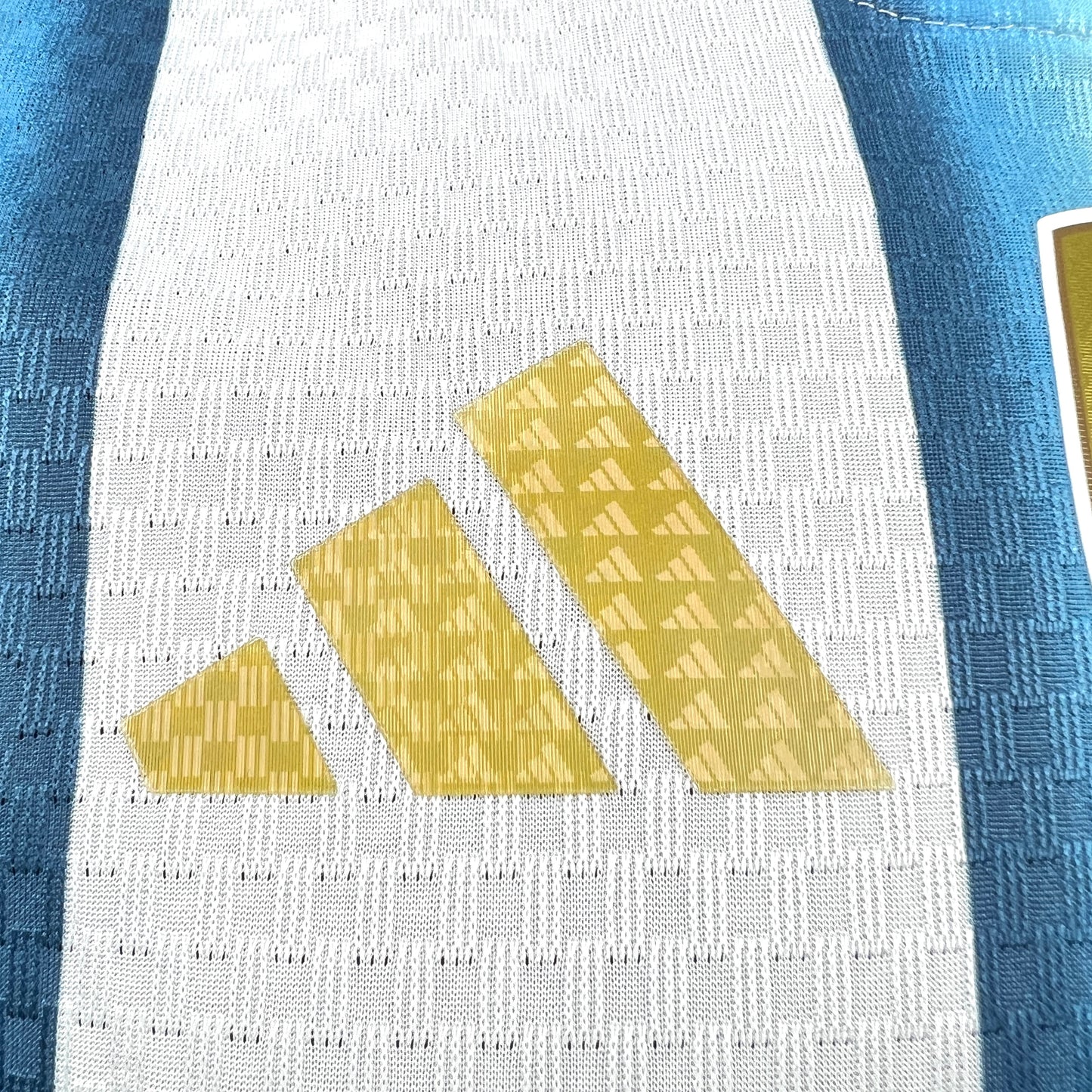 Argentina 2026 World Cup Home Jersey Player Version Mens